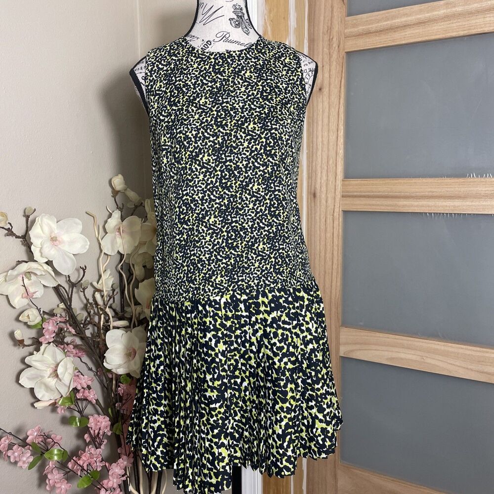 Ann Taylor Animal  Print Pleated Drop Waist Shift Dress Size 2 Sleeveless